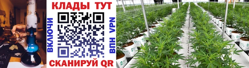 Купить наркотики цена Георгиевск СК Меф мяу мяу COCAIN ГАШИШ Каннабис