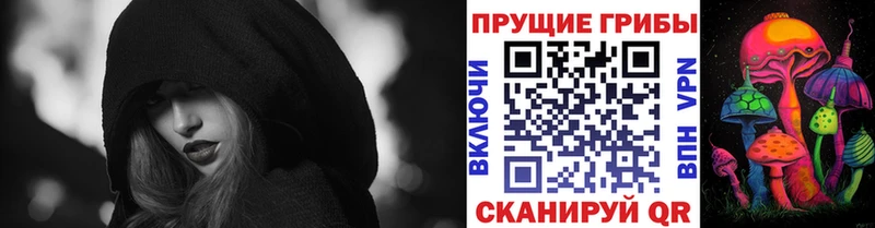 что такое   Георгиевск  Псилоцибиновые грибы Cubensis 
