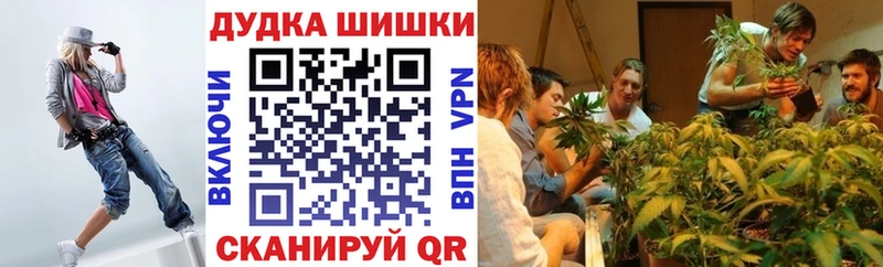 Бошки Шишки Ganja где продают Георгиевск
